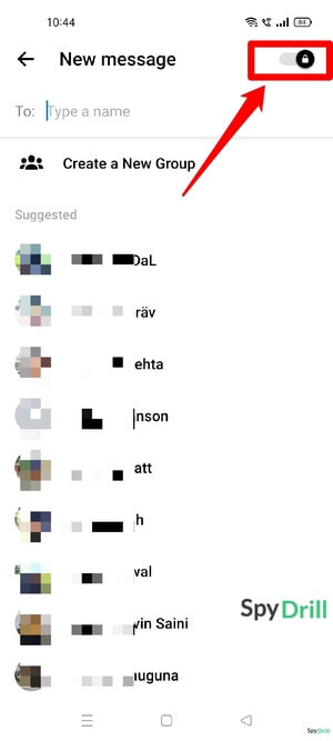 Chats secrets